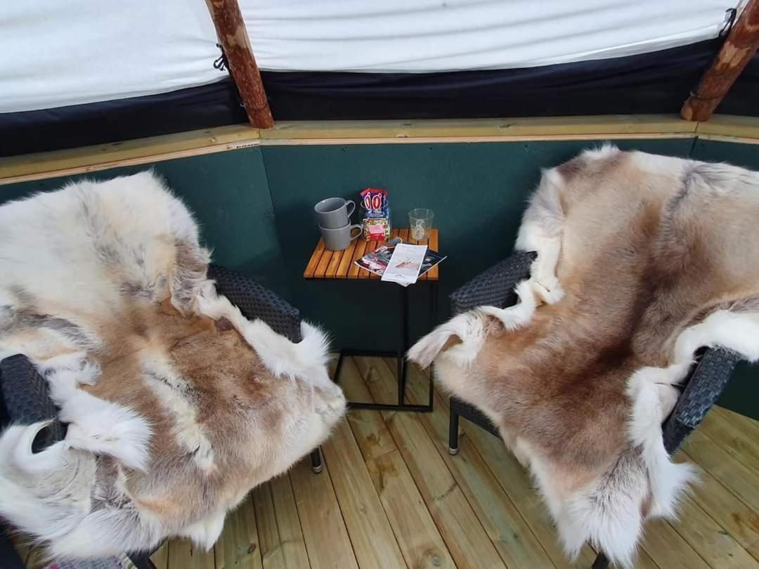 Lodge Reindeer