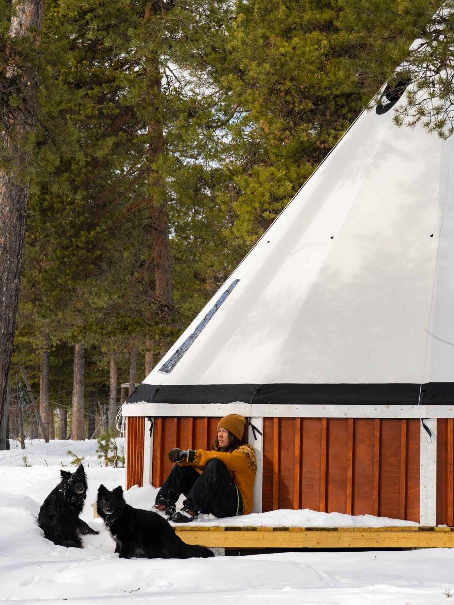 Lodge Reindeer Jukkasjarvi